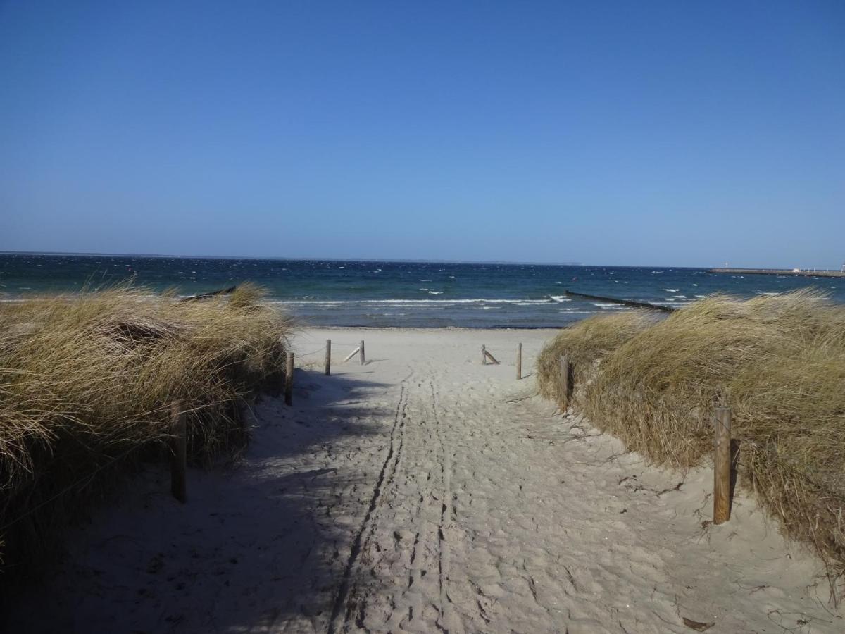 Strandtraum غلوفي المظهر الخارجي الصورة